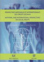 Couverture du livre « Perspectives nationales et internationales des droits sociaux » de Didier Maus aux éditions Bruylant