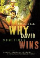 Couverture du livre « Why david sometimes wins: leadership, organization, and strategy in th » de Ganz Marshall aux éditions Editions Racine