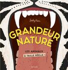 Couverture du livre « Grandeur nature ; les animaux à taille réelle ! » de Sophy Henn aux éditions Fleurus