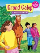 Couverture du livre « Grand galop t.6 ; il faut sauver Comanche ! » de  aux éditions Delcourt