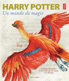 Couverture du livre « Harry Potter : un monde de magie » de  aux éditions Gallimard-jeunesse