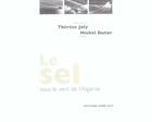 Couverture du livre « Le Sel ; Sous Le Vent De L'Algarve » de Michel Butor et Therese Joly aux éditions Act Mem