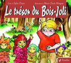 Couverture du livre « Le trésor du Bois-Joli » de Sylvie Tessier et Marie-Claude Mongeon aux éditions Vermillon