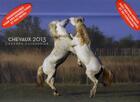 Couverture du livre « L'agenda-calendrier chevaux 2013 » de  aux éditions Hugo Image