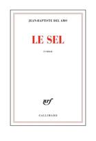 Couverture du livre « Le sel » de Jean-Baptiste Del Amo aux éditions Gallimard