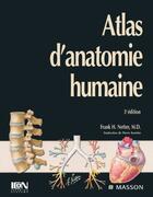 Couverture du livre « Atlas D'Anatomie Humaine » de John T. Hansen aux éditions Elsevier-masson