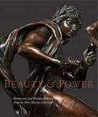 Couverture du livre « Beauty and power » de Warren Jeremy aux éditions Paul Holberton