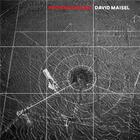 Couverture du livre « David maisel proving ground » de Maisel David aux éditions Steidl