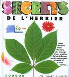 Couverture du livre « Secrets de l'herbier - livre-atelier » de  aux éditions Gallimard-jeunesse