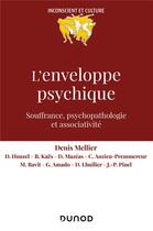 Couverture du livre « L'enveloppe psychique : souffrances, processus et dispositifs » de Didier Houzel et Gilles Amado et Christine Anzieu-Premmereur et Denis Mellier et Collectif et Dominique Lhuilier aux éditions Dunod