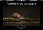 Couverture du livre « Admirons les escargots calendrier mural 2020 din a3 horizontal - dans nos jardins calendrier me » de Christina Ladan aux éditions Calvendo