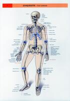 Couverture du livre « Schemas de travaux pratiques d'anatomie ; planches d'anatomie t.1 ; le squelette vue ventrale » de Pierre Kamina aux éditions Maloine