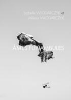 Couverture du livre « Ames funambules » de Isabelle Wlodarczyk et Milena Wlodarczyk aux éditions Babouche A Oreille