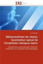 Couverture du livre « Metamorphose du reseau locomoteur spinal de l'amphibien xenopus laevis » de Beyeler Anna aux éditions Editions Universitaires Europeennes