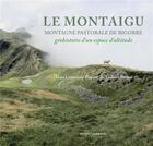 Couverture du livre « Le Montaigu : montagne pastorale de Bigorre : géohistoire d'un espace d'altitude » de Alain Cazenave-Piarrot et Gilbert Peyrot aux éditions Loubatieres