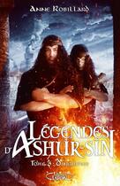 Couverture du livre « Légendes d'Ashur-Sîn Tome 3 : Dingirsigs » de Anne Robillard aux éditions Michel Lafon