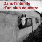 Couverture du livre « Dans l'intimité d'un club équestre (Calendrier mural 2020 300 × 300 mm Square) ; La vie d'un club équestre dans l'envers de décor. (Calendrier mensuel, 14 Pages ) » de Didier Sibourg aux éditions Calvendo