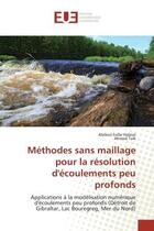 Couverture du livre « Méthodes sans maillage pour la résolution d'écoulements peu profonds : Applications à la modélisation numérique d'écoulements peu profonds (Détroit de Gibraltar, Lac Boure » de Abdoul-Hafar Halassi et Ahmed Taik aux éditions Editions Universitaires Europeennes