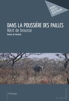 Couverture du livre « Dans la poussière des pailles » de Damien De Vendeuil aux éditions Mon Petit Editeur