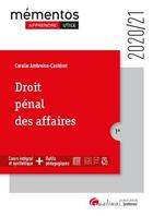 Couverture du livre « Droit pénal des affaires (édition 2020/2021) » de Coralie Ambroise-Casterot aux éditions Gualino