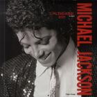 Couverture du livre « Michael Jackson ; calendrier 2015 » de  aux éditions Hugo Image