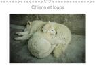Couverture du livre « Chiens et loups calendrier mural 2018 din a4 horizontal - photographies de chiens et lou » de Terry M aux éditions Calvendo