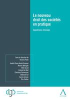 Couverture du livre « Le nouveau droit des sociétés en pratique : questions choisies » de Victoria Palm aux éditions Anthemis