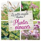 Couverture du livre « La petite encyclo Rustica des plantes vivaces » de Valerie Garnaud aux éditions Rustica