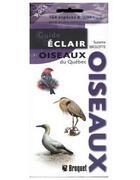 Couverture du livre « Guide éclair : oiseaux du Québec » de Suzanne Brulotte aux éditions Broquet