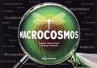 Couverture du livre « Macrocosmos » de Stephan Borensztajn et Claire Villemant aux éditions Edp Sciences