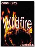Couverture du livre « Wildfire » de Zane Grey aux éditions Ebookslib