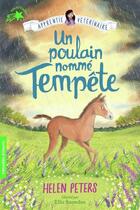 Couverture du livre « Jasmine, l'apprentie vétérinaire Tome 9 : Un poulain nommé tempête » de Helen Peters et Ellie Snowdon aux éditions Gallimard-jeunesse