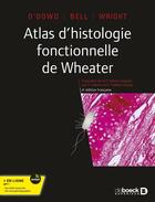 Couverture du livre « Atlas d'histologie fonctionnelle de Wheater » de Geraldine O'Dowd et Phillip Woodford et Barbara Young aux éditions De Boeck Superieur