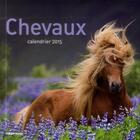 Couverture du livre « Chevaux ; calendrier 2015 » de  aux éditions Hugo Image