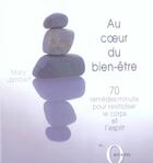 Couverture du livre « Au Coeur Du Bien-Etre ; 70 Remedes-Minute Pour Revitaliser Le Corps Et L'Esprit » de Mary Lambert aux éditions Octopus