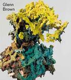 Couverture du livre « Glenn Brown » de Glenn Brown aux éditions Analogues