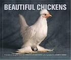 Couverture du livre « Beautiful chickens ; portraits of champion breeds » de Andrew Perris et Christie Aschwanden aux éditions Lincoln