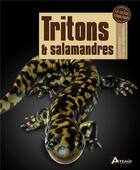 Couverture du livre « Tritons et salamandres » de Devin Edmons aux éditions Artemis
