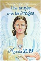 Couverture du livre « Une annee avec les anges - agenda 2019 » de Martineau M-C. aux éditions Dauphin Blanc