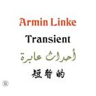 Couverture du livre « Armin linke transient » de Obrist aux éditions Skira