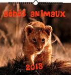 Couverture du livre « Bébés animaux calendrier 2013 » de  aux éditions Place Des Victoires