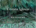 Couverture du livre « Cristina iglesias metonymy » de Cooke aux éditions Prestel