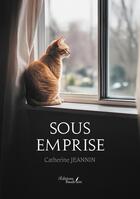 Couverture du livre « Sous emprise » de Catherine Jeannin aux éditions Baudelaire