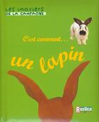 Couverture du livre « Un lapin » de Bulard Cordeau B. aux éditions Rustica