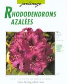 Couverture du livre « Rhododendrons Azalees » de Kogel aux éditions Hachette Pratique