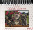 Couverture du livre « Calendrier perpétuel chatons d'amour » de Julie Delfour aux éditions Chene