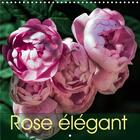 Couverture du livre « Rose elegant calendrier mural 2020 300 300 mm square - rose elegant vous emmene dans » de Dieter Meyer aux éditions Calvendo