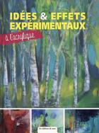 Couverture du livre « Idées et effets expérimentaux à l'acrylique » de Angelika Biber-Najork aux éditions De Saxe