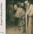 Couverture du livre « Bruegel in black and white ; three grisailles reunited » de Karen Serres aux éditions Paul Holberton