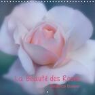 Couverture du livre « La beaute des roses calendrier mural 2018 300 300 mm square - la reine des fleurs dans toute » de Biewer B aux éditions Calvendo